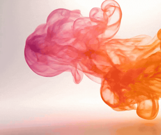 We are a GUST of wind 4